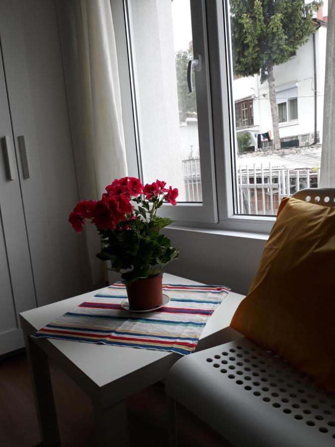 Guest House Sahat Hill 普罗夫迪夫 外观 照片